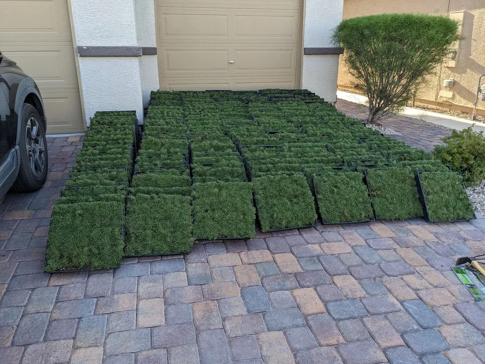 Trusted landscape design in Las Vegas, NV - StarCarpetLV