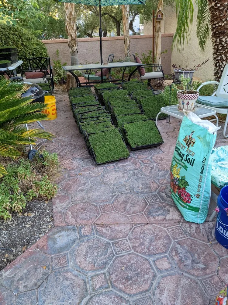 Trusted lawn mowing service in Las Vegas, NV - StarCarpetLV