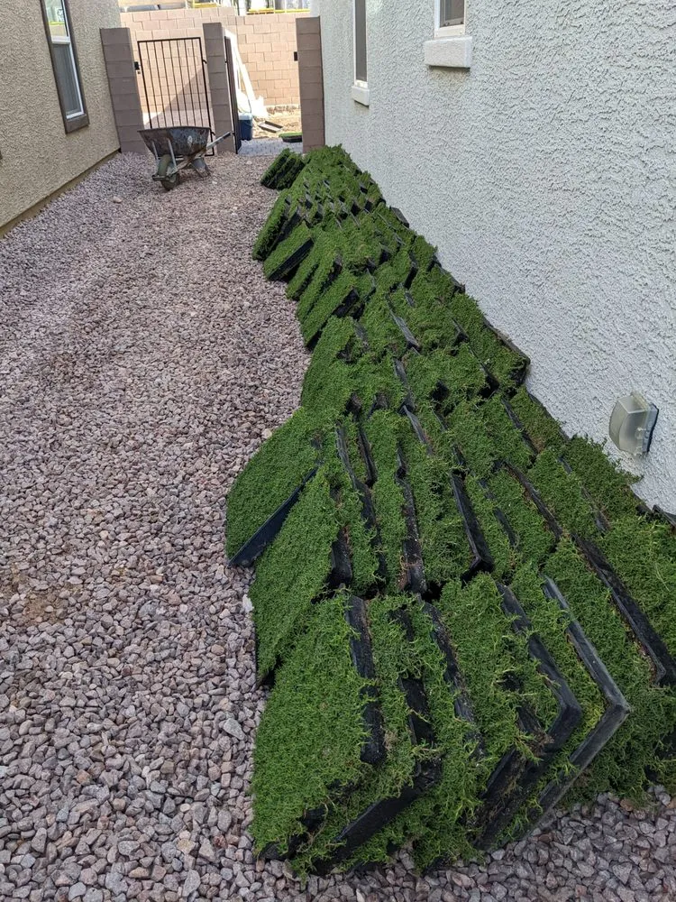 Expert landscape design in Las Vegas, NV by StarCarpetLV