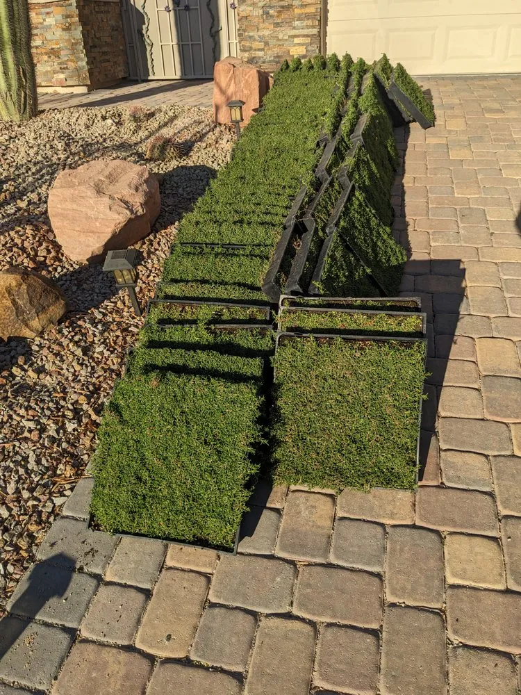 Affordable yard maintenance experts serving Las Vegas, NV - StarCarpetLV