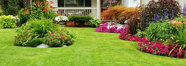 Stark Enterprises Inc Logo