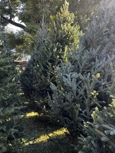 Affordable garden landscaping in Starke, FL by Starke Landscape Supply