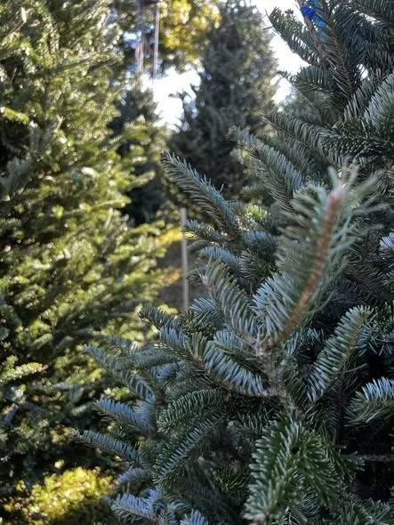 Local residential landscaping for year-round maintenance in Starke, FL by Starke Landscape Supply