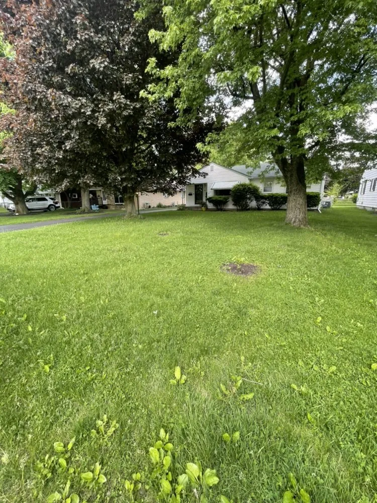 Local lawn care service in Marion, OH by Starkey’s Lawns