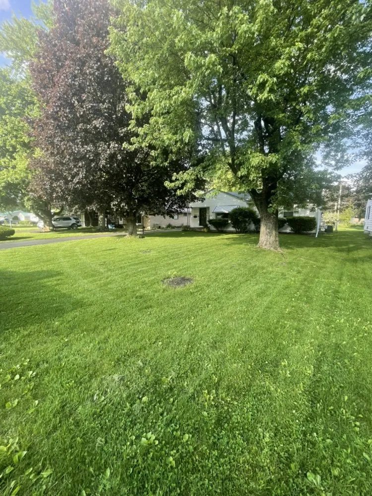 Affordable yard cleanup service for residential properties in Marion, OH by Starkey’s Lawns