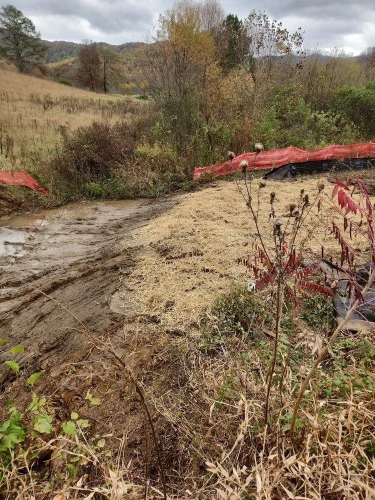 Reliable yard cleanup service in Ellijay, GA by Starks Hauling & Development