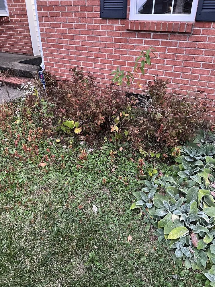 Custom residential landscaping for residential properties across Frankfort, KY - Stark's Lawn and Landscape