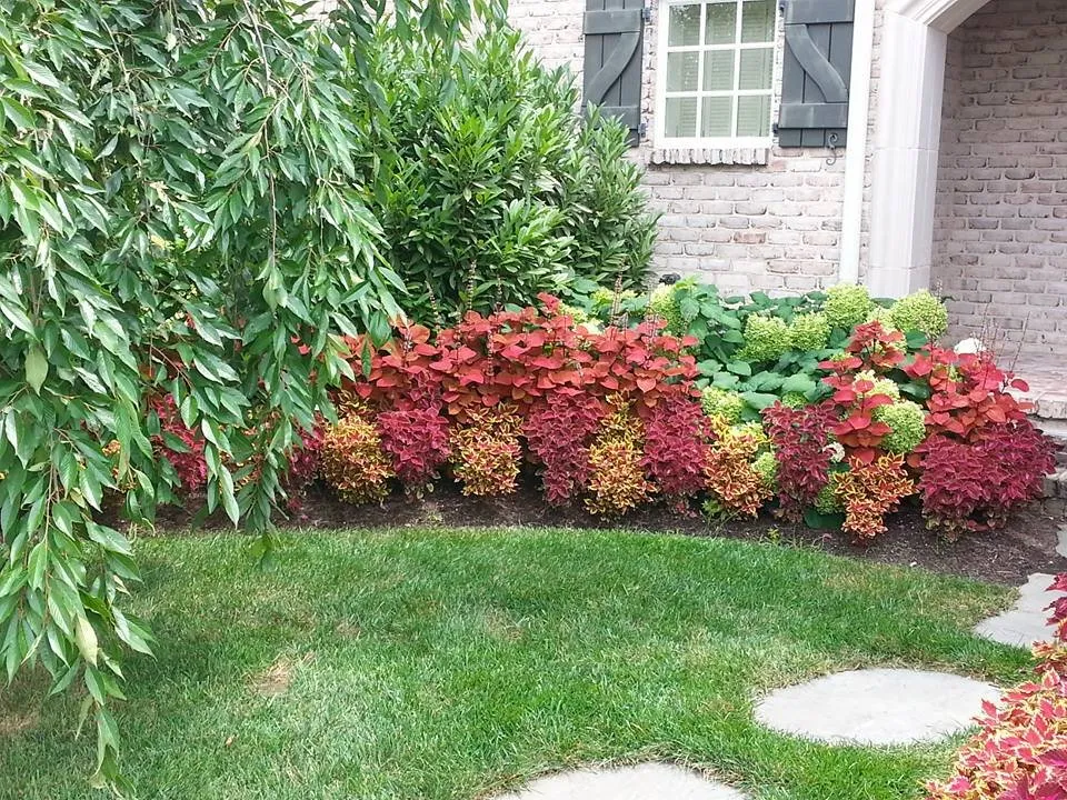 Custom lawn care service in Frankfort, KY by Stark's Lawn and Landscape