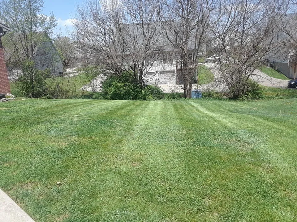 Local landscape installation in Frankfort, KY by Stark's Lawn and Landscape