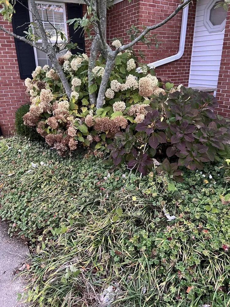 Affordable yard maintenance in Frankfort, KY by Stark's Lawn and Landscape