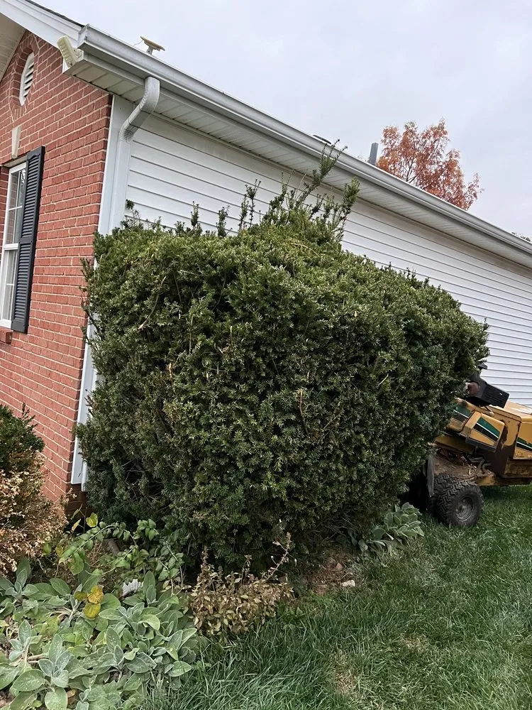 Reliable yard maintenance experts serving Frankfort, KY - Stark's Lawn and Landscape