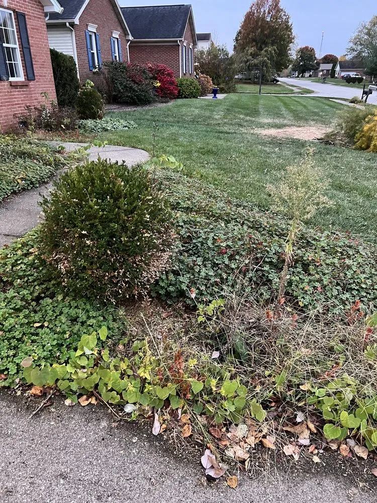 Top-rated lawn mowing service in Frankfort, KY - Stark's Lawn and Landscape