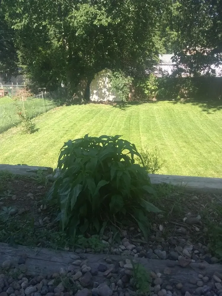 Local lawn mowing service with custom design across Lincoln, NE - Stark's Lawn Care & Snow Removal