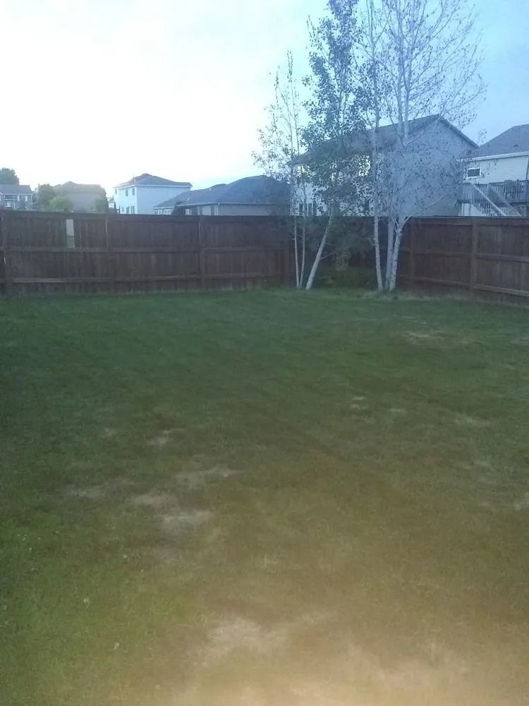Professional landscape installation for year-round maintenance across Lincoln, NE - Stark's Lawn Care & Snow Removal