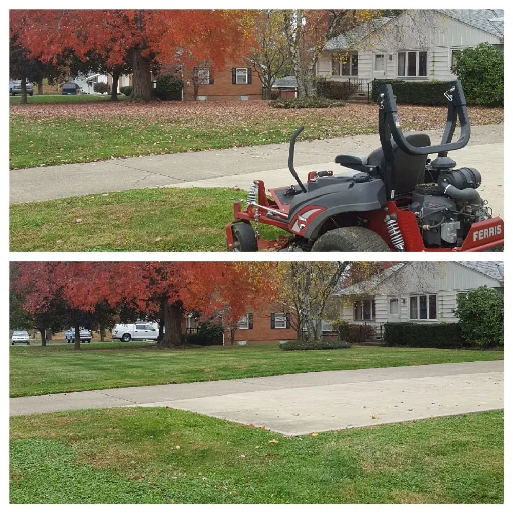 Top-rated yard cleanup service for year-round maintenance in Louisville, OH by StarkScapes