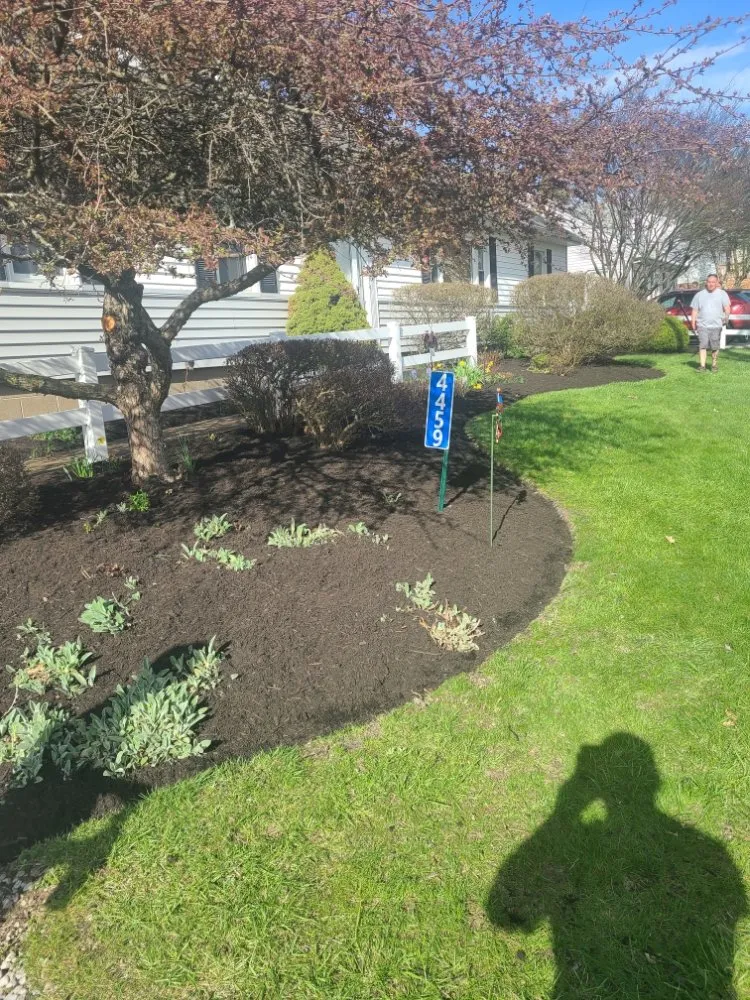 Reliable outdoor landscaping with custom design across Louisville, OH - StarkScapes