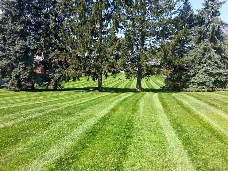 Top-rated landscaping services in Louisville, OH by StarkScapes