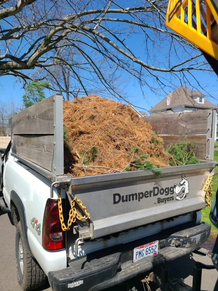 Professional yard maintenance for year-round maintenance across Louisville, OH - StarkScapes