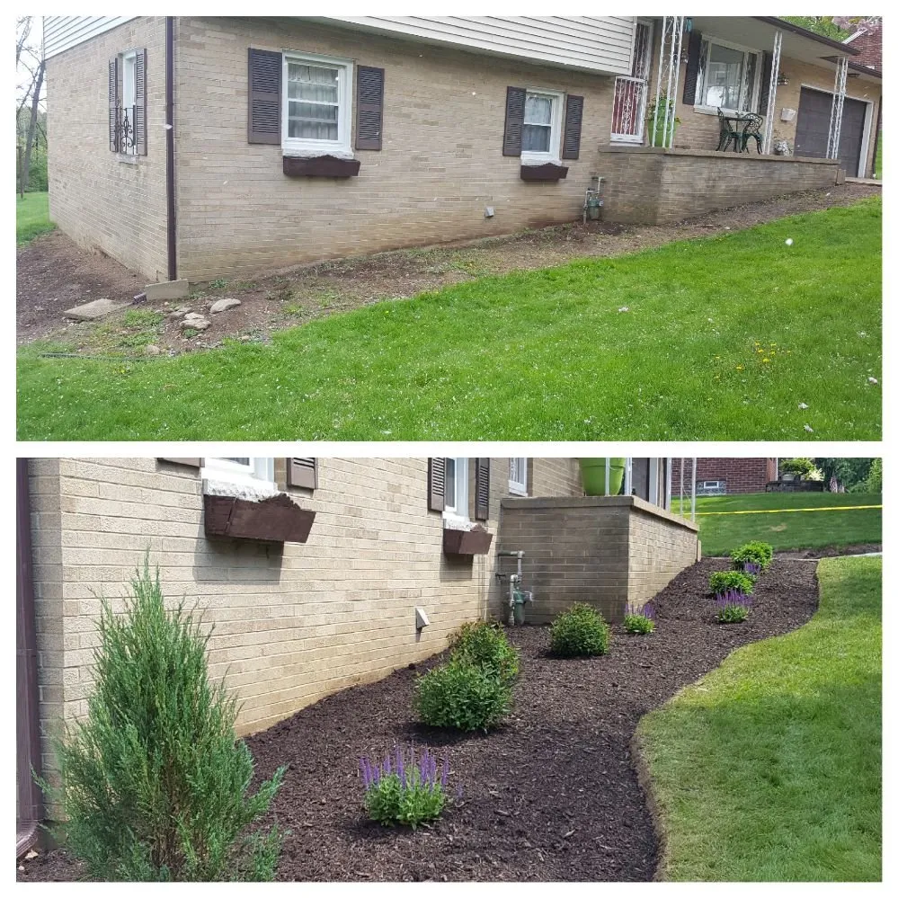 Professional yard cleanup service experts serving Louisville, OH - StarkScapes