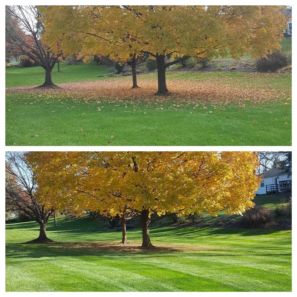 Top-rated lawn care service in Louisville, OH - StarkScapes
