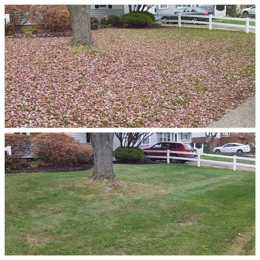 Professional landscaping services experts serving Louisville, OH - StarkScapes