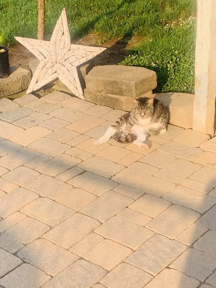 Affordable lawn care service in Davidson, NC by Starlawns Landscaping