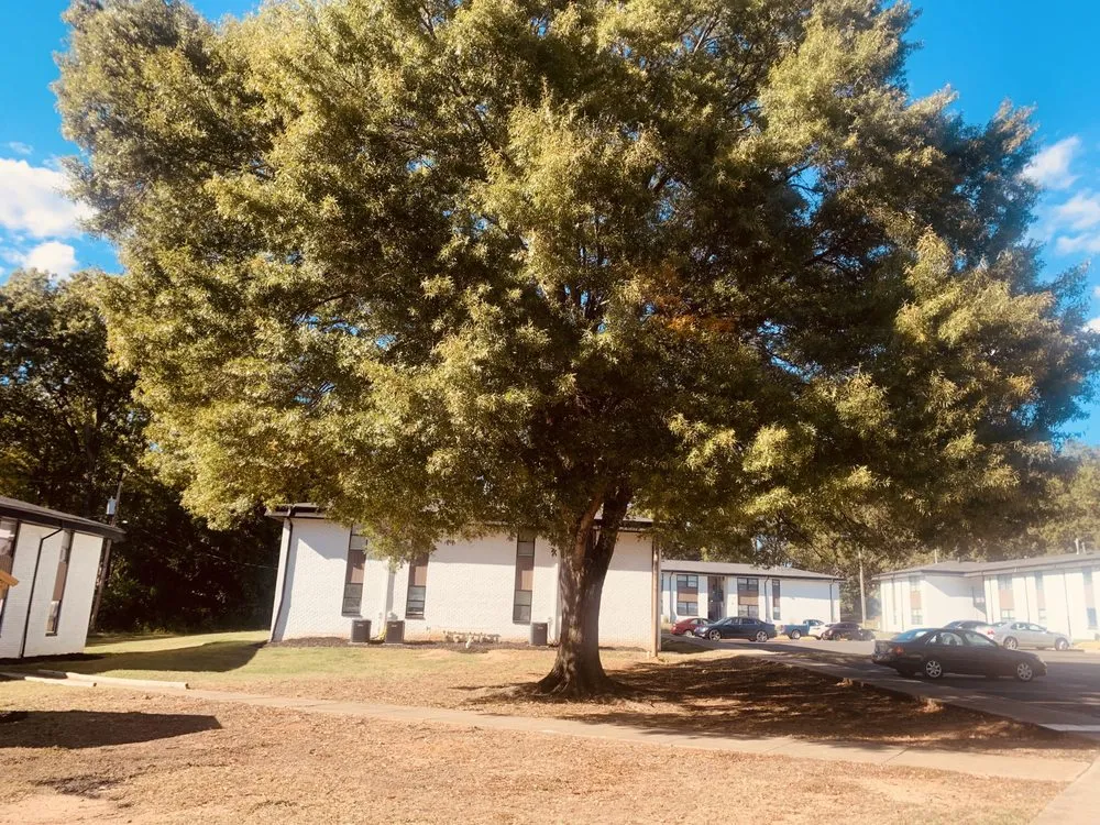 Custom lawn mowing service with custom design in Davidson, NC by Starlawns Landscaping