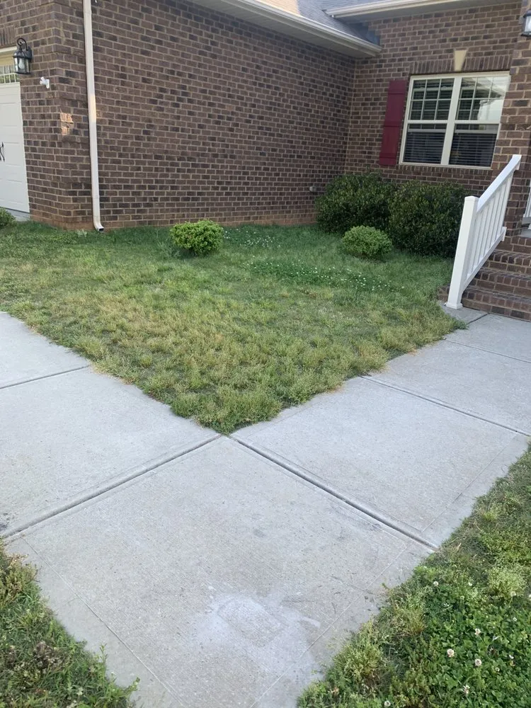Affordable yard cleanup service in Davidson, NC by Starlawns Landscaping