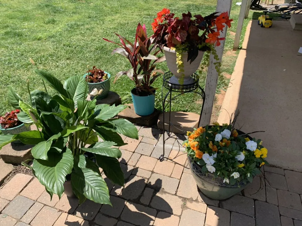 Reliable landscaping services in Davidson, NC - Starlawns Landscaping