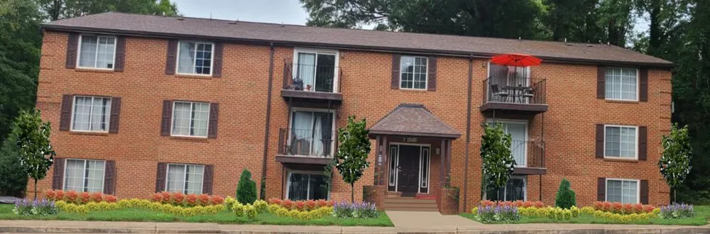 Reliable yard cleanup service in Davidson, NC - Starlawns Landscaping