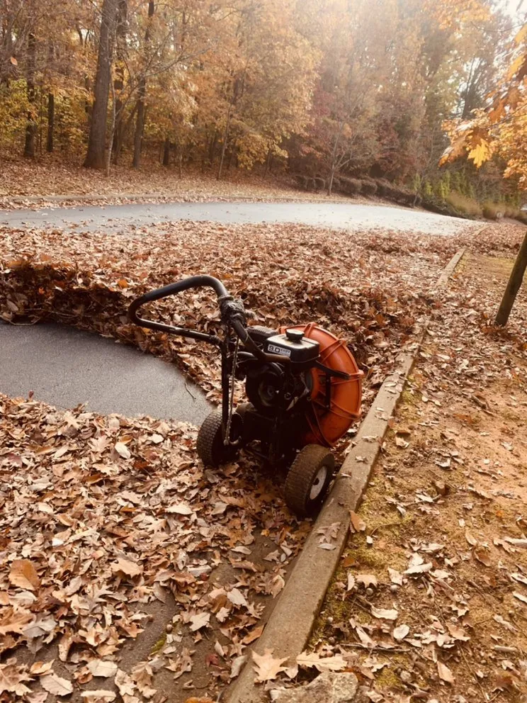 Custom yard maintenance experts serving Davidson, NC - Starlawns Landscaping