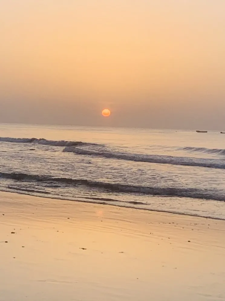 Affordable landscaping services with custom design across Davidson, NC - Starlawns Landscaping