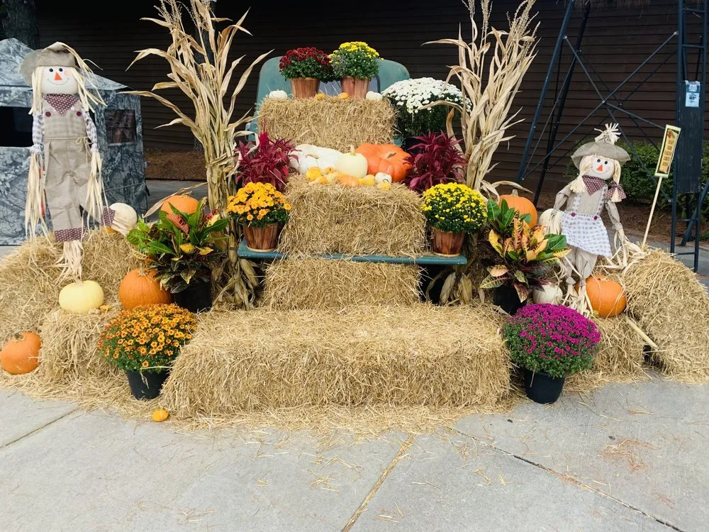 Local yard cleanup service experts serving Davidson, NC - Starlawns Landscaping