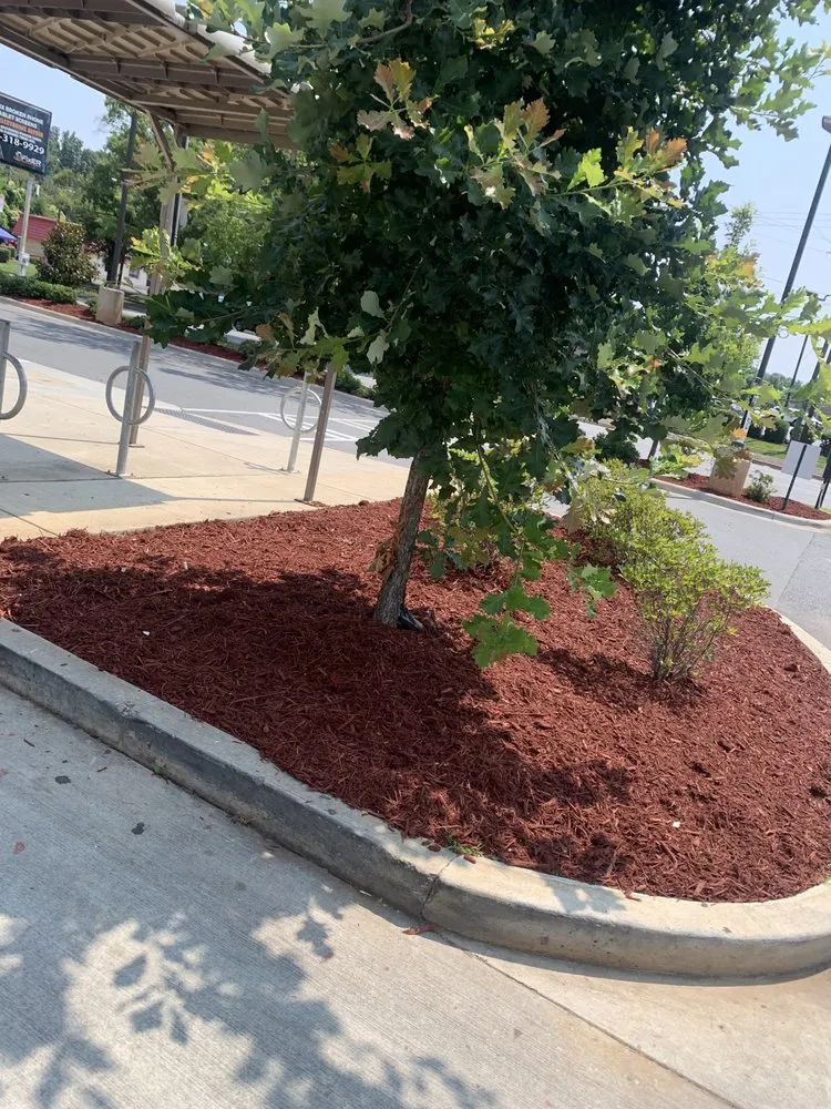 Local lawn mowing service for beautiful yards in Davidson, NC by Starlawns Landscaping