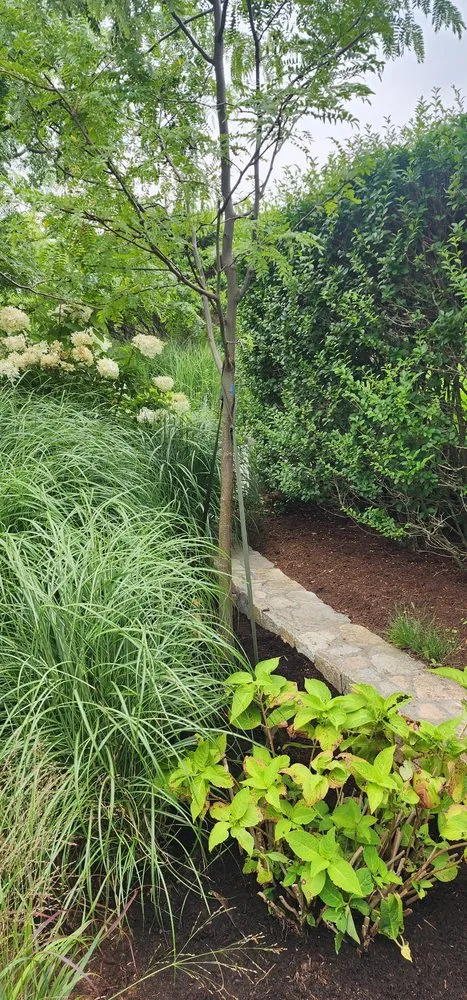 Reliable outdoor landscaping in Hyannis, MA - Starline landscaping