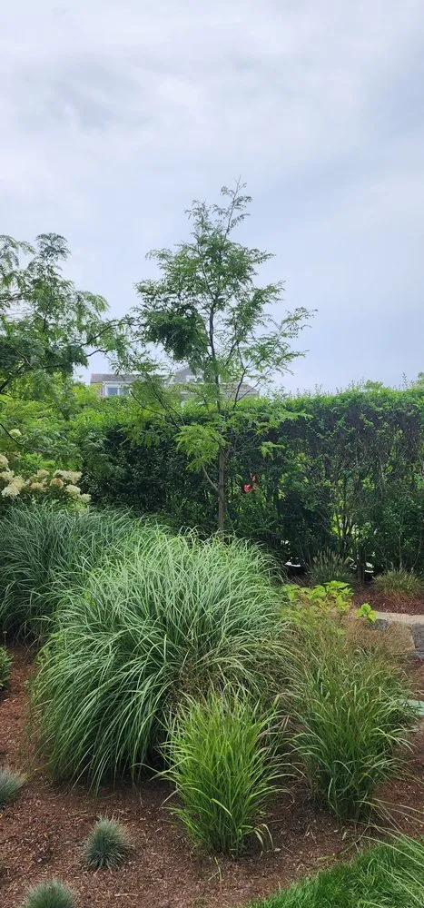 Professional landscaping services in Hyannis, MA - Starline landscaping