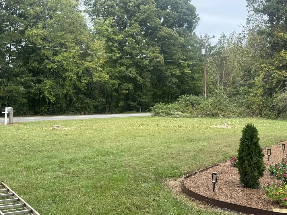 Top-rated garden landscaping for outdoor upgrades across Madison, NC - Starling Landscape & Lawncare