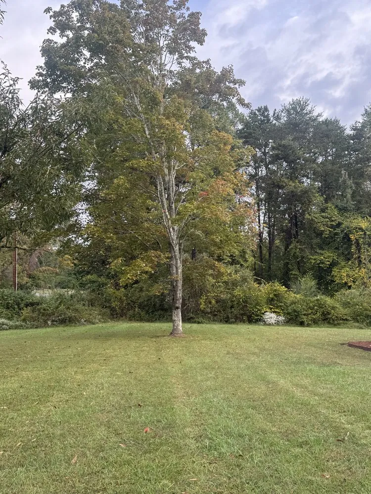 Trusted yard maintenance experts serving Madison, NC - Starling Landscape & Lawncare