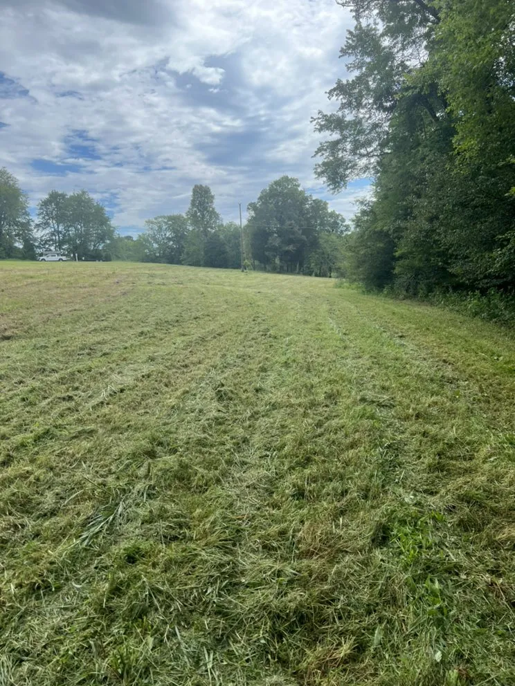 Professional lawn mowing service experts serving Madison, NC - Starling Landscape & Lawncare