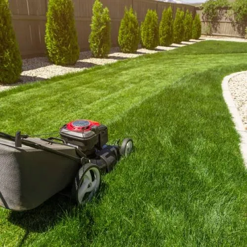 Trusted yard cleanup service in Bryan, TX - Starling Landscaping