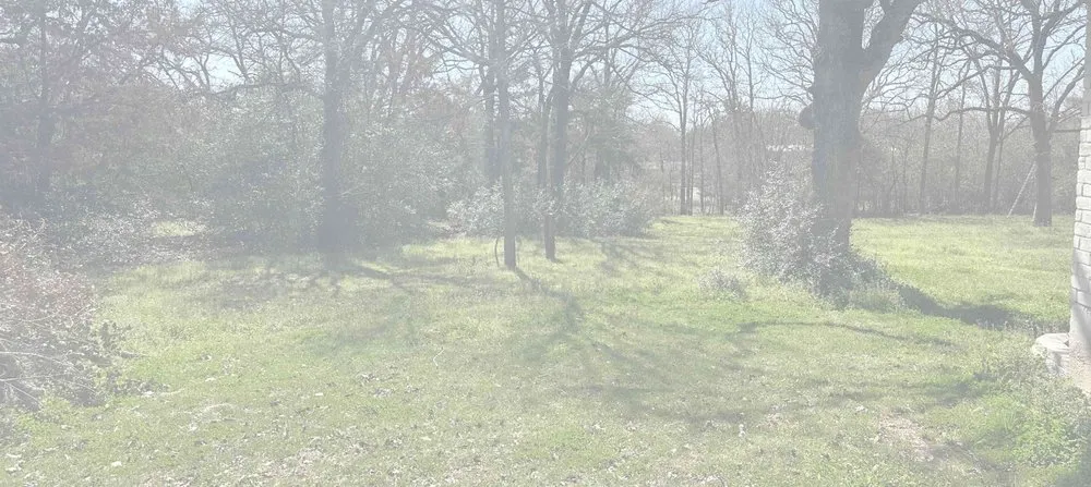 Top-rated lawn care service for outdoor upgrades in Bryan, TX by Starling Landscaping