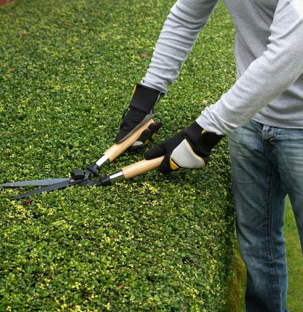 Reliable outdoor landscaping with custom design in Bryan, TX by Starling Landscaping