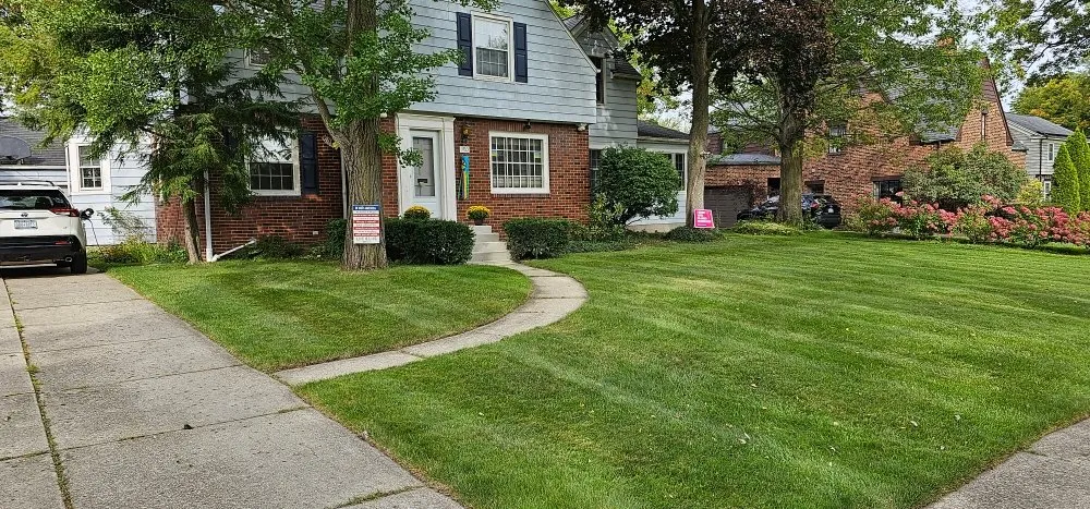 Custom yard cleanup service experts serving Buffalo, NY - Starlite Snow Removal & Lawn Care