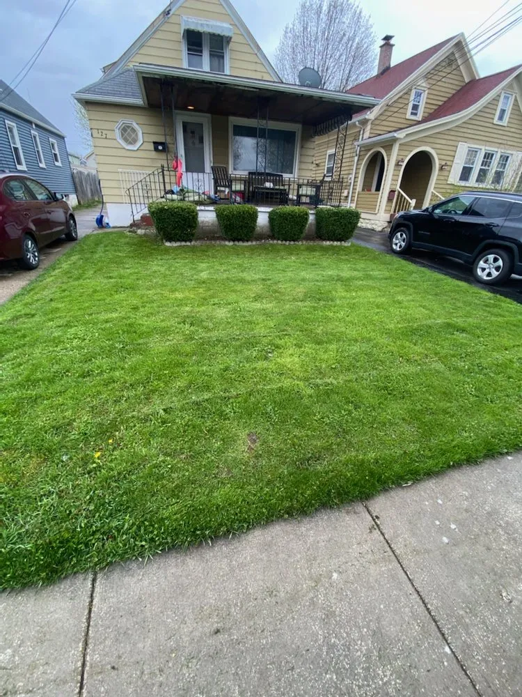 Professional landscaping services in Buffalo, NY - Starlite Snow Removal & Lawn Care