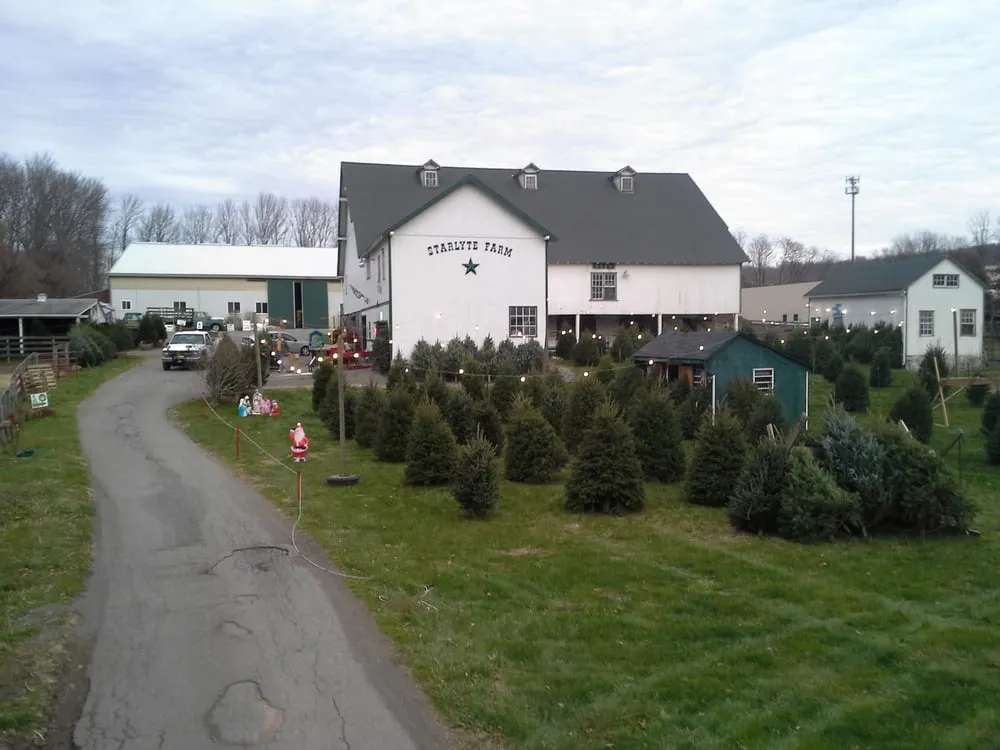 Local landscaping services for residential properties across Douglassville, PA - Starlyte Christmas Tree Farm
