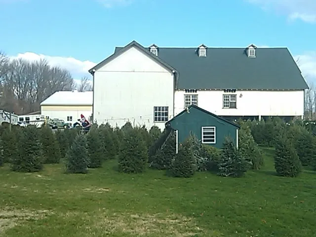 Top-rated yard maintenance for beautiful yards across Douglassville, PA - Starlyte Christmas Tree Farm