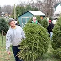 Custom landscape installation for year-round maintenance in Douglassville, PA by Starlyte Christmas Tree Farm