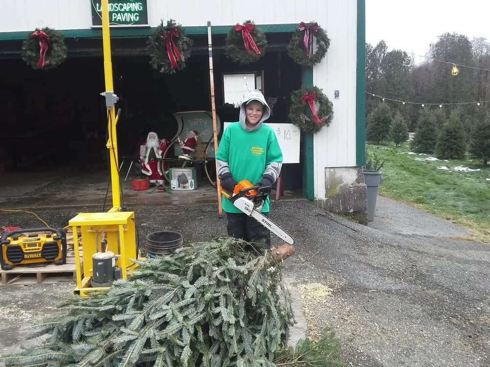 Professional lawn care service experts serving Douglassville, PA - Starlyte Christmas Tree Farm