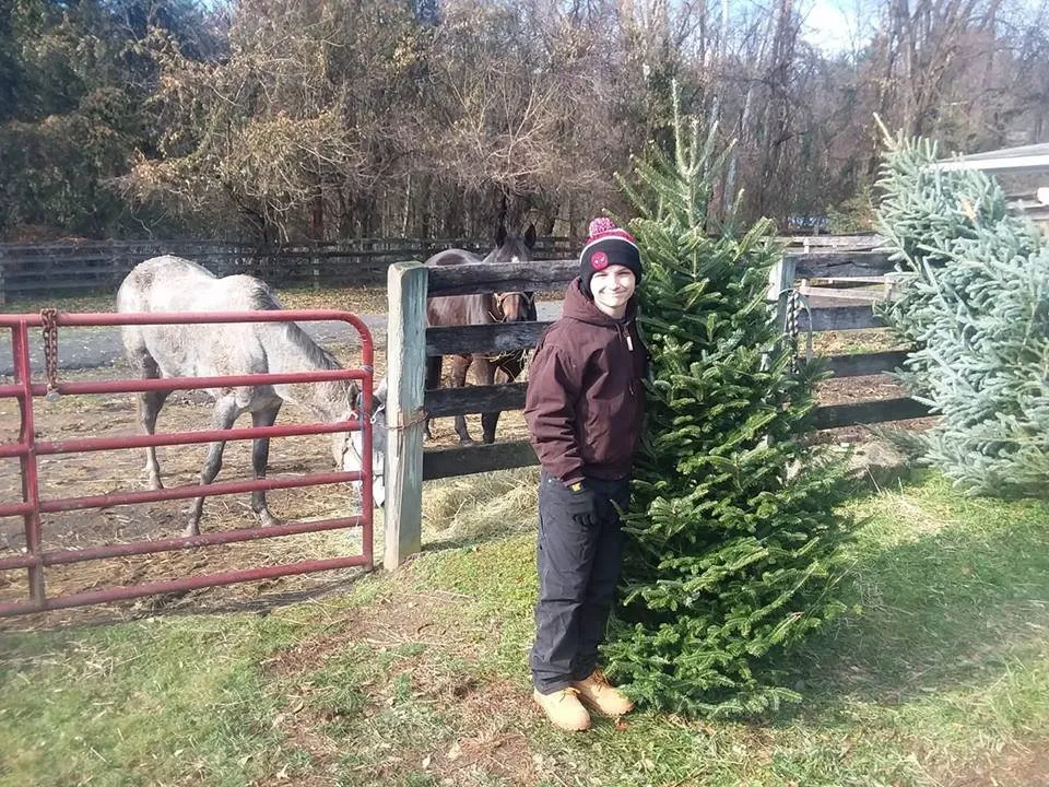 Top-rated landscape installation for homes in Douglassville, PA by Starlyte Christmas Tree Farm