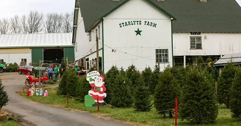 Top-rated outdoor landscaping experts serving Douglassville, PA - Starlyte Christmas Tree Farm